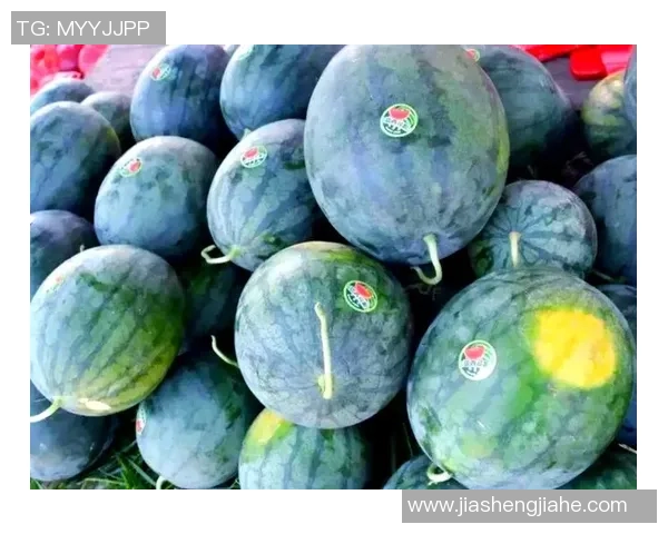 西瓜之名背后的故事哪位足球明星因外貌而被称为西瓜引发热议