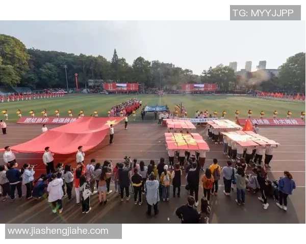 南京排球队在洲际杯上的拼搏历程与荣耀时刻全景回顾